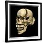 Perspective View of Human Skull-null-Framed Art Print