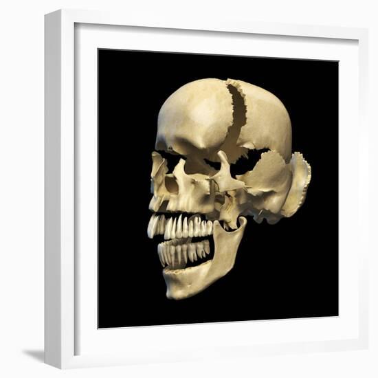 Perspective View of Human Skull-null-Framed Art Print