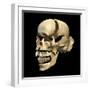 Perspective View of Human Skull-null-Framed Art Print