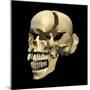 Perspective View of Human Skull-null-Mounted Art Print