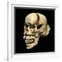 Perspective View of Human Skull-null-Framed Art Print