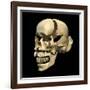 Perspective View of Human Skull-null-Framed Art Print