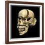 Perspective View of Human Skull-null-Framed Art Print