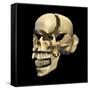 Perspective View of Human Skull-null-Framed Stretched Canvas