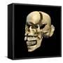 Perspective View of Human Skull-null-Framed Stretched Canvas