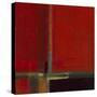 Perspectives in Color Red-Terri Burris-Stretched Canvas