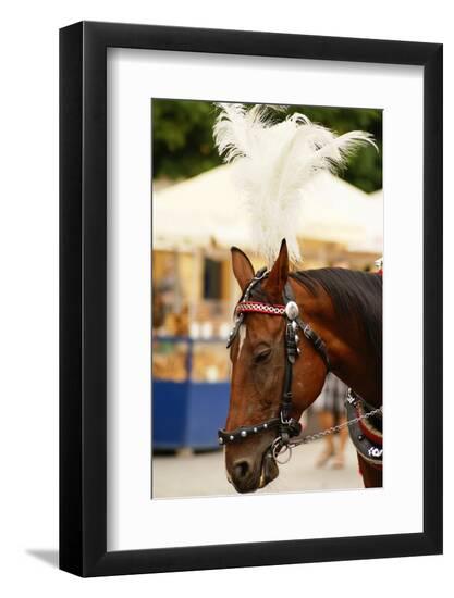 Premium Photographic Print, , large