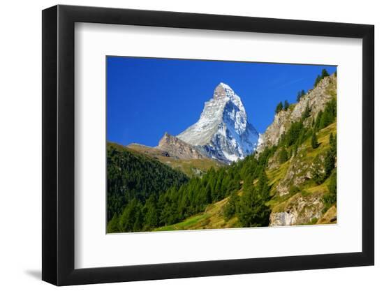 Premium Photographic Print, , large