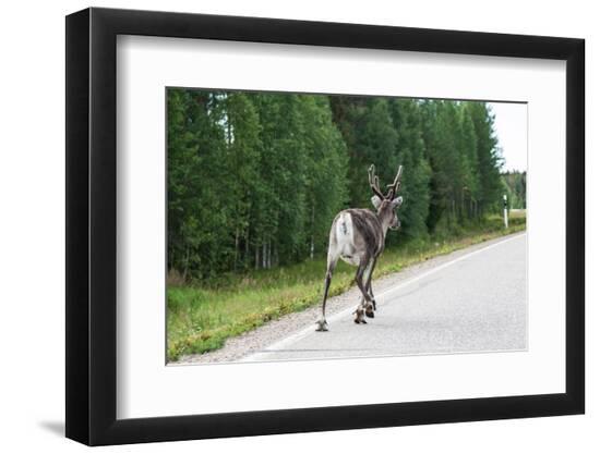 Premium Photographic Print, , large