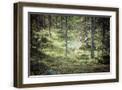 Chelsea Forest Gray