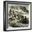 Peru 1869-null-Framed Giclee Print