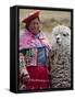 Peru, a Female with an Alpaca at Abra La Raya-Nigel Pavitt-Framed Stretched Canvas