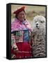 Peru, a Female with an Alpaca at Abra La Raya-Nigel Pavitt-Framed Stretched Canvas