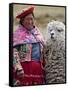 Peru, a Female with an Alpaca at Abra La Raya-Nigel Pavitt-Framed Stretched Canvas