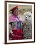 Peru, a Female with an Alpaca at Abra La Raya-Nigel Pavitt-Framed Photographic Print