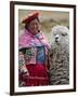 Peru, a Female with an Alpaca at Abra La Raya-Nigel Pavitt-Framed Photographic Print