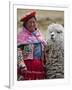 Peru, a Female with an Alpaca at Abra La Raya-Nigel Pavitt-Framed Photographic Print