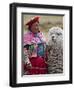 Peru, a Female with an Alpaca at Abra La Raya-Nigel Pavitt-Framed Photographic Print