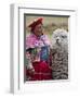 Peru, a Female with an Alpaca at Abra La Raya-Nigel Pavitt-Framed Photographic Print