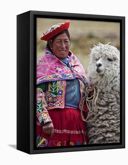 Peru, a Female with an Alpaca at Abra La Raya-Nigel Pavitt-Framed Stretched Canvas