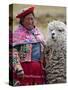 Peru, a Female with an Alpaca at Abra La Raya-Nigel Pavitt-Stretched Canvas