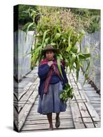 Peru, a Woman with a Load of Maize Stalks to Feed to Her Pigs Crosses the Urubamba River-Nigel Pavitt-Stretched Canvas