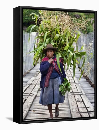 Peru, a Woman with a Load of Maize Stalks to Feed to Her Pigs Crosses the Urubamba River-Nigel Pavitt-Framed Stretched Canvas