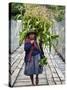 Peru, a Woman with a Load of Maize Stalks to Feed to Her Pigs Crosses the Urubamba River-Nigel Pavitt-Stretched Canvas