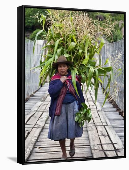 Peru, a Woman with a Load of Maize Stalks to Feed to Her Pigs Crosses the Urubamba River-Nigel Pavitt-Framed Stretched Canvas