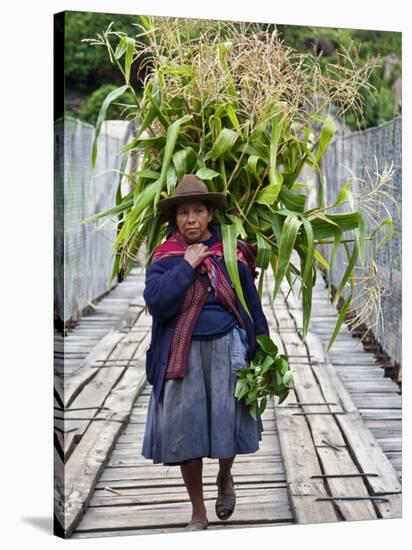 Peru, a Woman with a Load of Maize Stalks to Feed to Her Pigs Crosses the Urubamba River-Nigel Pavitt-Stretched Canvas