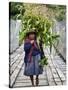 Peru, a Woman with a Load of Maize Stalks to Feed to Her Pigs Crosses the Urubamba River-Nigel Pavitt-Stretched Canvas