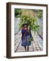 Peru, a Woman with a Load of Maize Stalks to Feed to Her Pigs Crosses the Urubamba River-Nigel Pavitt-Framed Photographic Print