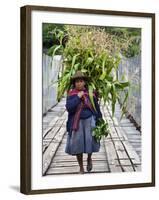 Peru, a Woman with a Load of Maize Stalks to Feed to Her Pigs Crosses the Urubamba River-Nigel Pavitt-Framed Photographic Print