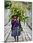 Peru, a Woman with a Load of Maize Stalks to Feed to Her Pigs Crosses the Urubamba River-Nigel Pavitt-Mounted Photographic Print