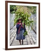 Peru, a Woman with a Load of Maize Stalks to Feed to Her Pigs Crosses the Urubamba River-Nigel Pavitt-Framed Photographic Print