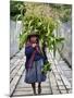 Peru, a Woman with a Load of Maize Stalks to Feed to Her Pigs Crosses the Urubamba River-Nigel Pavitt-Mounted Photographic Print