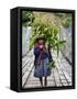 Peru, a Woman with a Load of Maize Stalks to Feed to Her Pigs Crosses the Urubamba River-Nigel Pavitt-Framed Stretched Canvas