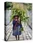 Peru, a Woman with a Load of Maize Stalks to Feed to Her Pigs Crosses the Urubamba River-Nigel Pavitt-Stretched Canvas