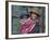 Peru, a Young Peruvian Girl-Nigel Pavitt-Framed Photographic Print