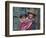 Peru, a Young Peruvian Girl-Nigel Pavitt-Framed Photographic Print