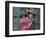 Peru, a Young Peruvian Girl-Nigel Pavitt-Framed Photographic Print