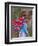 Peru; an Indian Woman Wearing Carries Her Farm Produce to Market in a Brightly Coloured Blanket-Nigel Pavitt-Framed Premium Photographic Print