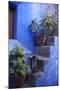 Peru, Arequipa. Geraniums on Steps at Santa Catalina Monastery.-Kymri Wilt-Mounted Photographic Print