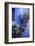 Peru, Arequipa. Geraniums on Steps at Santa Catalina Monastery.-Kymri Wilt-Framed Photographic Print