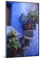 Peru, Arequipa. Geraniums on Steps at Santa Catalina Monastery.-Kymri Wilt-Mounted Photographic Print