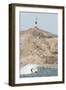 Peru, Cabo Blanco. Surfing near Cabo Blanco, Peru.-Michael DeFreitas-Framed Photographic Print