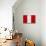 Peru Flag Design with Wood Patterning - Flags of the World Series-Philippe Hugonnard-Stretched Canvas displayed on a wall