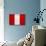 Peru Flag Design with Wood Patterning - Flags of the World Series-Philippe Hugonnard-Art Print displayed on a wall