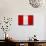 Peru Flag Design with Wood Patterning - Flags of the World Series-Philippe Hugonnard-Mounted Art Print displayed on a wall