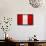 Peru Flag Design with Wood Patterning - Flags of the World Series-Philippe Hugonnard-Framed Stretched Canvas displayed on a wall